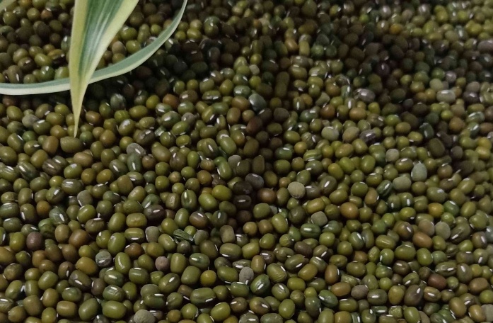 Kacang Hijau