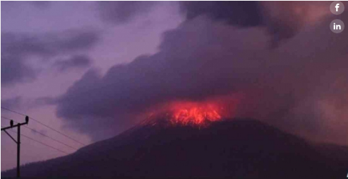 Langkah Penting Penanganan Hewan Saat Bencana Gunung Meletus