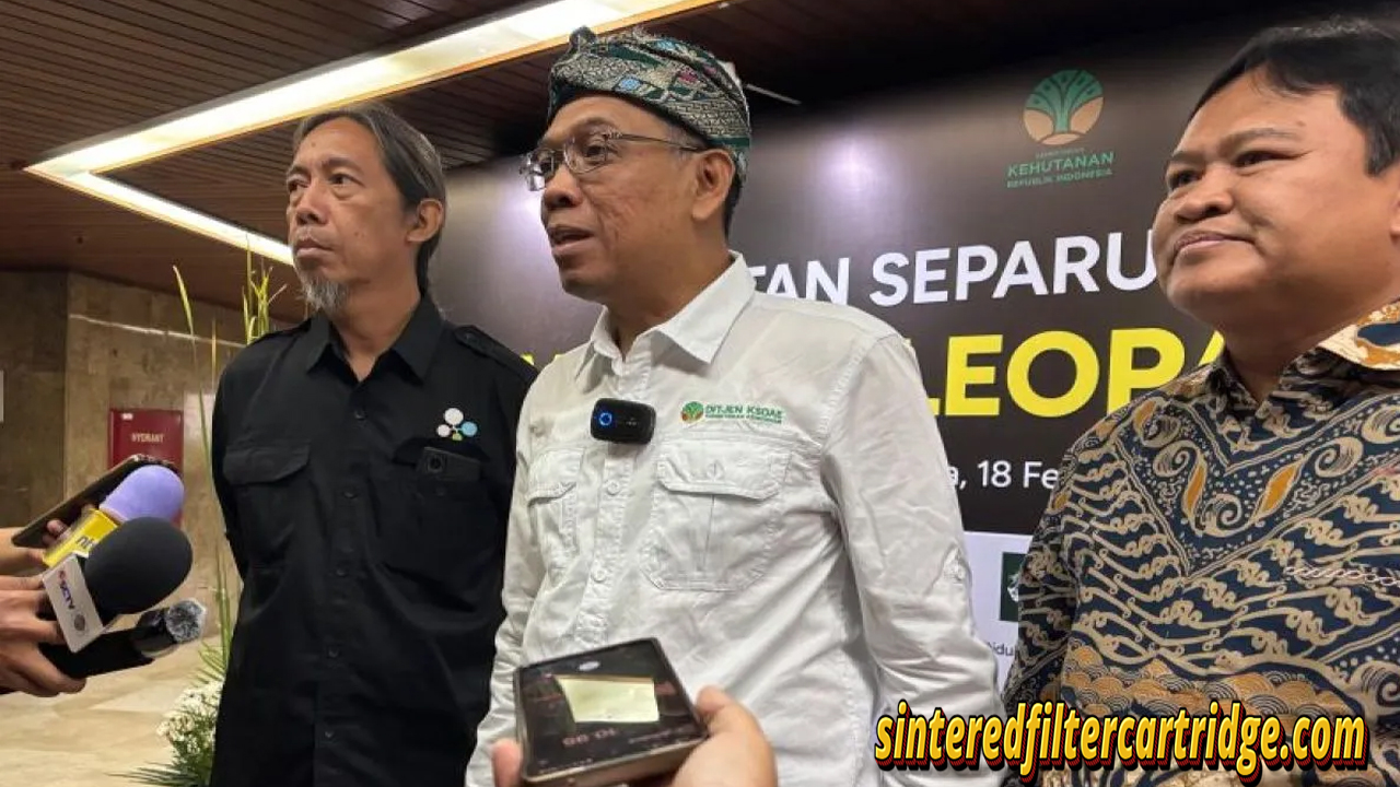 Kemenhut menyusun strategi konservasi macan tutul jawa